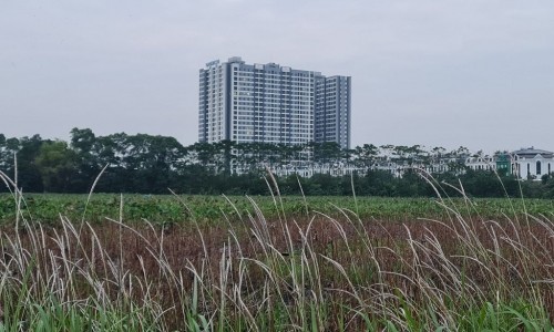 2x99 tr sở hữu căn hộ cao cấp 81m2 tại trung tâm phường Trâu Quỳ, Gia
