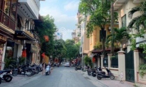 33 tỷ-sở hữu nhà mặt phố Châu Long,Ba Đình-vỉa hè-kinh doanh-thang