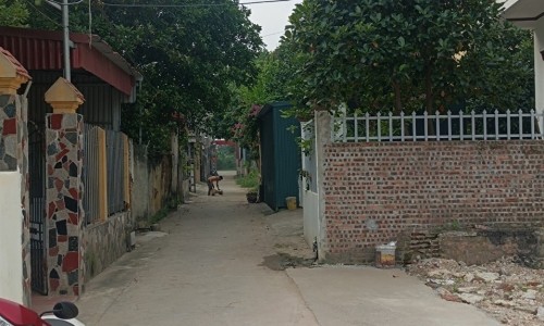 Cần bán 114m2 đất Định Mỗ, Xuân Lai, Gia Bình, Bắc Ninh
