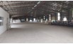 Cho Thuê Xưởng KCN Tân Uyên - Diện Tích 3.100m², Giá 3.5 USD/m²