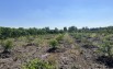 Hàng ngộp giảm 300tr, lô đất vườn 1028m2 tại Thạnh Lợi, Bến Lức, Long