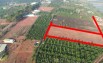 Lô đất 2000m ở Lâm Hà Lâm Đồng chủ đất cần bán gấp giá giảm 100%, có